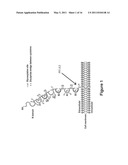 Antibodies to Carcinoembryonic Antigen (CEA), Methods of Making Same, and Uses Thereof diagram and image