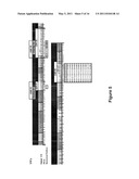 Antibodies to Carcinoembryonic Antigen (CEA), Methods of Making Same, and Uses Thereof diagram and image