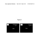 INHIBITION OF DEGRADATION OF EXTRACELLULAR MATRIX diagram and image