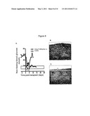 INHIBITION OF DEGRADATION OF EXTRACELLULAR MATRIX diagram and image