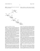 INHIBITION OF DEGRADATION OF EXTRACELLULAR MATRIX diagram and image