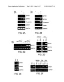 HISTONE DEACETYLASE INHIBITORS, COMBINATION THERAPIES AND METHODS OF USE diagram and image