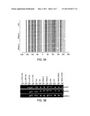 HISTONE DEACETYLASE INHIBITORS, COMBINATION THERAPIES AND METHODS OF USE diagram and image