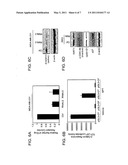 HISTONE DEACETYLASE INHIBITORS, COMBINATION THERAPIES AND METHODS OF USE diagram and image