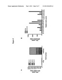 CONSENSUS SEQUENCES OF CHIKUNGUNYA VIRAL PROTEINS, NUCLEIC ACID MOLECULES ENCODING THE SAME, AND COMPOSITIONS AND METHODS FOR USING THE SAME diagram and image