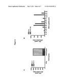 CONSENSUS SEQUENCES OF CHIKUNGUNYA VIRAL PROTEINS, NUCLEIC ACID MOLECULES ENCODING THE SAME, AND COMPOSITIONS AND METHODS FOR USING THE SAME diagram and image