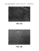 METHODS AND COMPOSITIONS FOR PRODUCING HYDROGEL CAPSULES COATED FOR LOW PERMEABILITY AND PHYSICAL INTEGRITY diagram and image