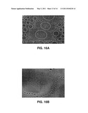 METHODS AND COMPOSITIONS FOR PRODUCING HYDROGEL CAPSULES COATED FOR LOW PERMEABILITY AND PHYSICAL INTEGRITY diagram and image