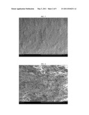 BIOCERAMIC AND BIOPOLYMER COMPOSITE diagram and image