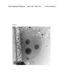 TECHNIQUE FOR DRUG AND GENE DELIVERY TO THE CELL CYTOSOL diagram and image