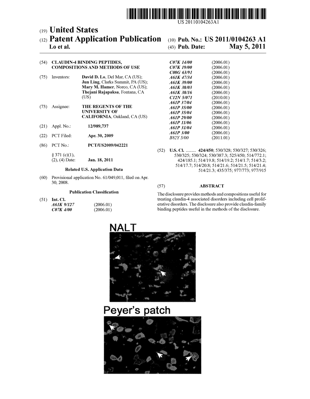 CLAUDIN-4 BINDING PEPTIDES, COMPOSITIONS AND METHODS OF USE - diagram, schematic, and image 01