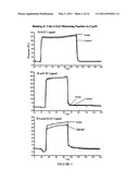 CLAUDIN-4 BINDING PEPTIDES, COMPOSITIONS AND METHODS OF USE diagram and image