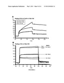 CLAUDIN-4 BINDING PEPTIDES, COMPOSITIONS AND METHODS OF USE diagram and image