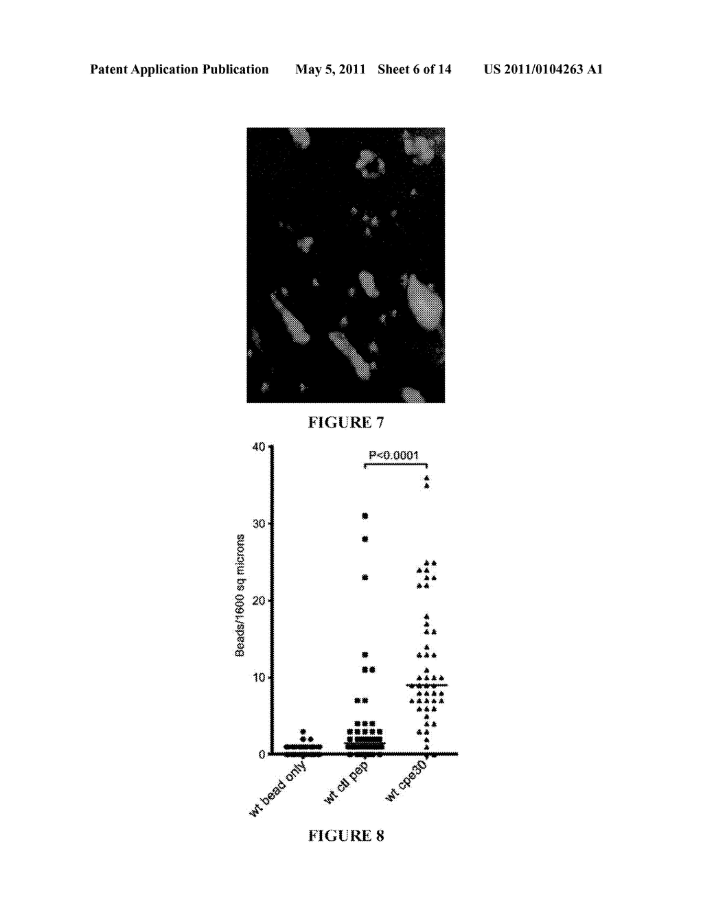 CLAUDIN-4 BINDING PEPTIDES, COMPOSITIONS AND METHODS OF USE - diagram, schematic, and image 07