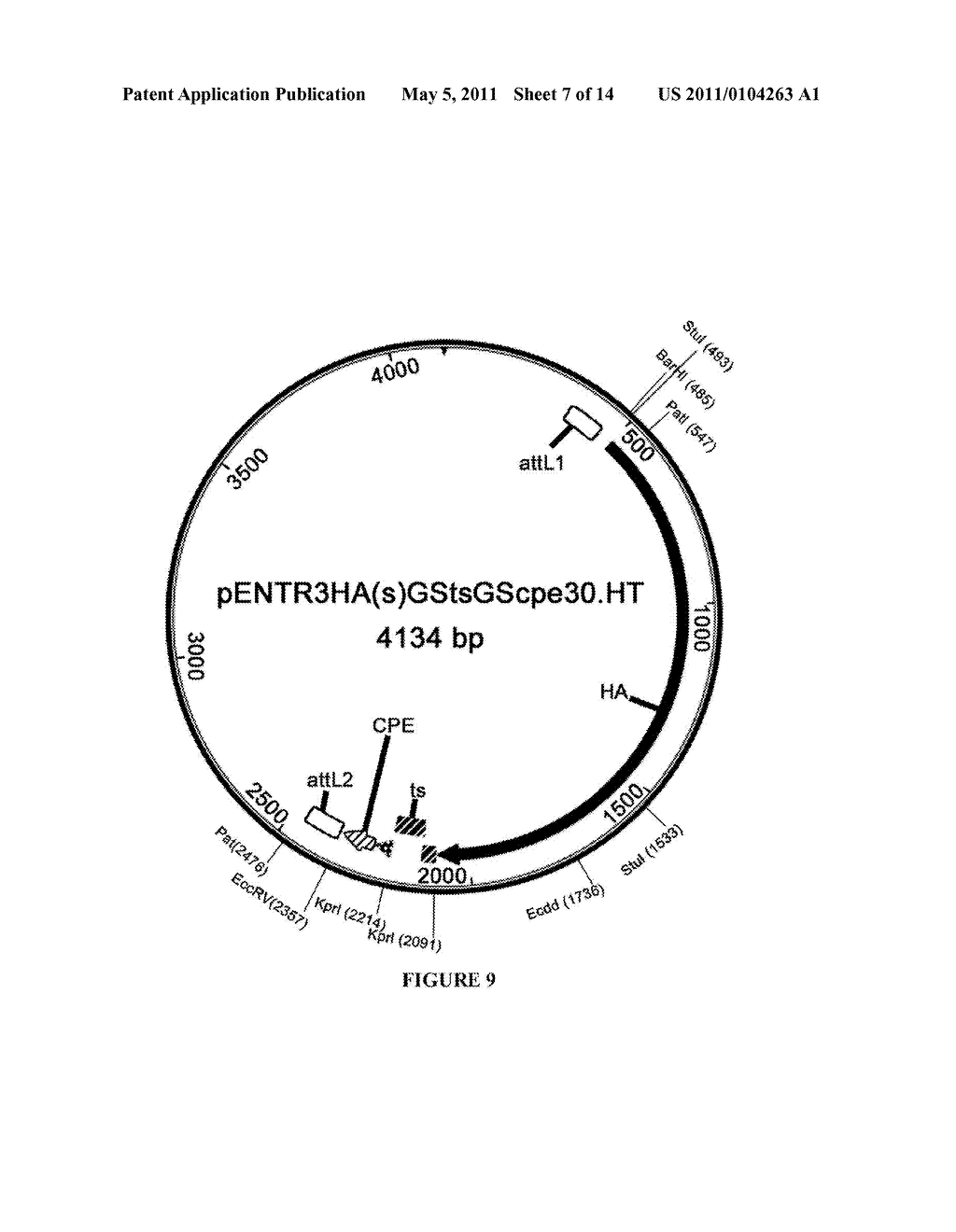 CLAUDIN-4 BINDING PEPTIDES, COMPOSITIONS AND METHODS OF USE - diagram, schematic, and image 08