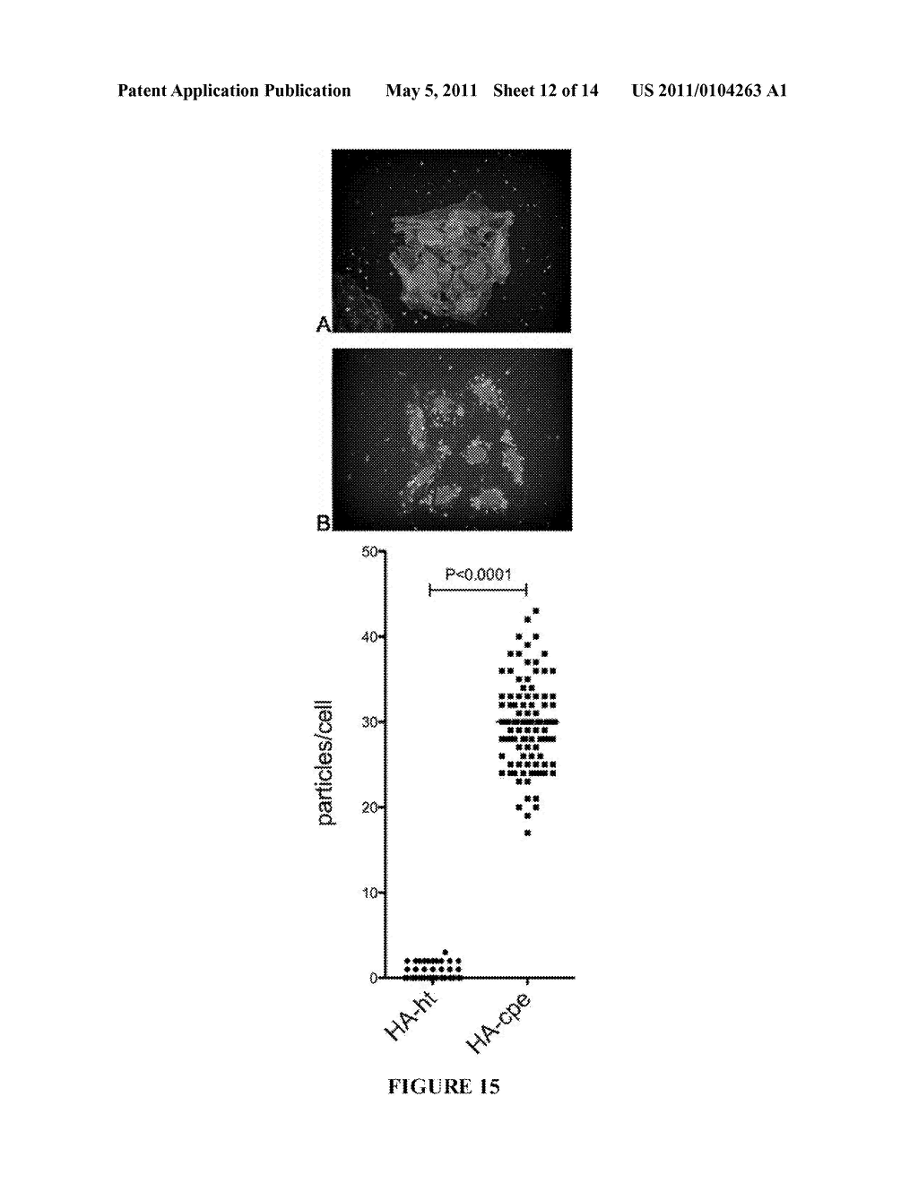 CLAUDIN-4 BINDING PEPTIDES, COMPOSITIONS AND METHODS OF USE - diagram, schematic, and image 13