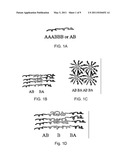 BLOCK COPOLYMER MORPHOLOGY TRAPPING IN THIN FILMS USING LOW TEMPERATURE TREATMENT AND ANNEALING FOR INHIBITION OF MARINE ORGANISM ATTACHMENT TO SURFACES diagram and image