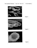 HOLLOW CARBON FIBRES AND PROCESS FOR THEIR PRODUCTION diagram and image