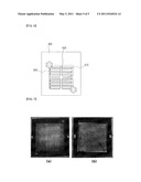 Visualization Apparatus for Transparent PEMFC diagram and image