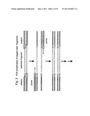 SELECTIVE RESTRICTION FRAGMENT AMPLIFICATION: FINGERPRINTING diagram and image