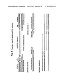 SELECTIVE RESTRICTION FRAGMENT AMPLIFICATION: FINGERPRINTING diagram and image