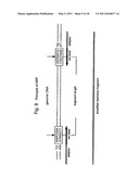 SELECTIVE RESTRICTION FRAGMENT AMPLIFICATION: FINGERPRINTING diagram and image