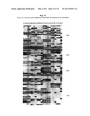 SELECTIVE RESTRICTION FRAGMENT AMPLIFICATION: FINGERPRINTING diagram and image