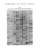 SELECTIVE RESTRICTION FRAGMENT AMPLIFICATION: FINGERPRINTING diagram and image