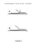 RNA DETECTION ASSAYS diagram and image