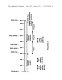 RNA DETECTION ASSAYS diagram and image