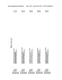 RNA DETECTION ASSAYS diagram and image