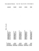 RNA DETECTION ASSAYS diagram and image