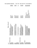 RNA DETECTION ASSAYS diagram and image