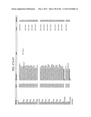 RNA DETECTION ASSAYS diagram and image