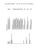 RNA DETECTION ASSAYS diagram and image