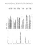 RNA DETECTION ASSAYS diagram and image