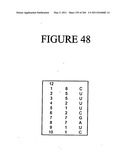 RNA DETECTION ASSAYS diagram and image