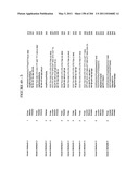 RNA DETECTION ASSAYS diagram and image