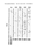 RNA DETECTION ASSAYS diagram and image