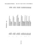 RNA DETECTION ASSAYS diagram and image