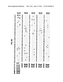 RNA DETECTION ASSAYS diagram and image