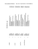 RNA DETECTION ASSAYS diagram and image