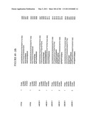 RNA DETECTION ASSAYS diagram and image