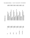 RNA DETECTION ASSAYS diagram and image