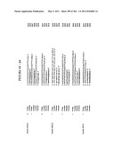 RNA DETECTION ASSAYS diagram and image