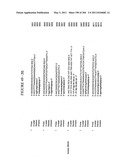 RNA DETECTION ASSAYS diagram and image