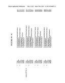 RNA DETECTION ASSAYS diagram and image