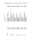 RNA DETECTION ASSAYS diagram and image