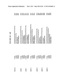 RNA DETECTION ASSAYS diagram and image