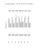 RNA DETECTION ASSAYS diagram and image